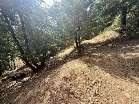 339 Snowberry Ct, Murphys, CA 95247 photo 29
