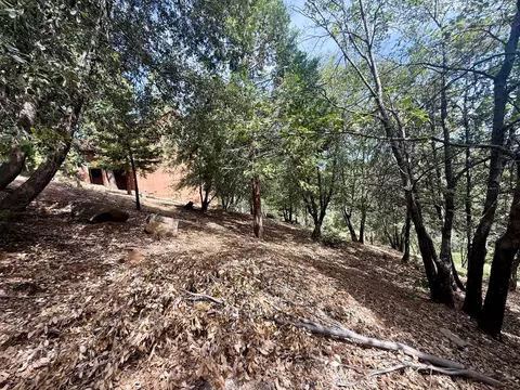 339 Snowberry Ct, Murphys, CA 95247 photo 14