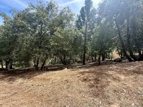 339 Snowberry Ct, Murphys, CA 95247 photo 32