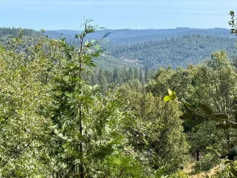 339 Snowberry Ct, Murphys, CA 95247 photo 22