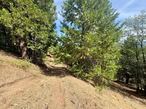 339 Snowberry Ct, Murphys, CA 95247 photo 43