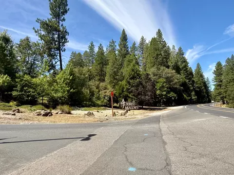 339 Snowberry Ct, Murphys, CA 95247 photo 7