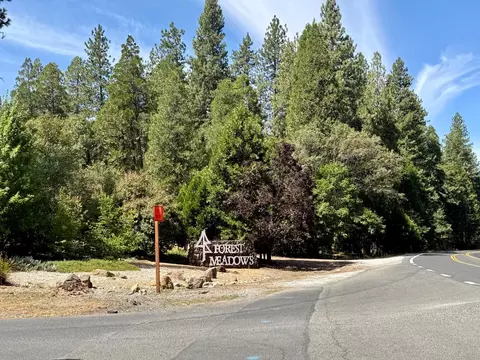 339 Snowberry Ct, Murphys, CA 95247 photo 6