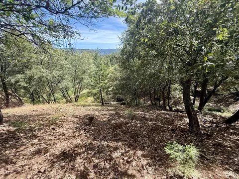 339 Snowberry Ct, Murphys, CA 95247 photo 20