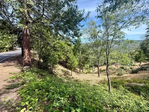 339 Snowberry Ct, Murphys, CA 95247 photo 56