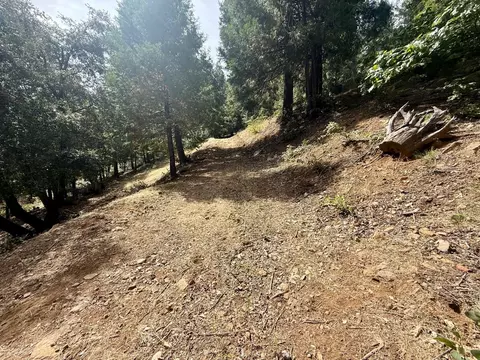 339 Snowberry Ct, Murphys, CA 95247 photo 30