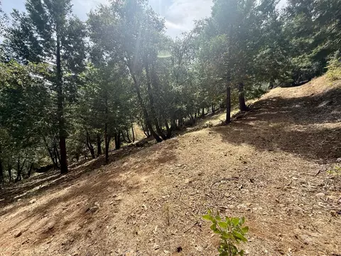 339 Snowberry Ct, Murphys, CA 95247 photo 31