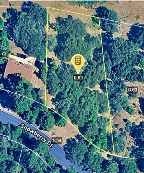 339 Snowberry Ct, Murphys, CA 95247 photo 59