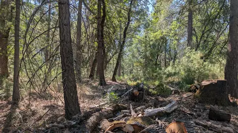 0 S Manzanita Hills Rd, Colfax, CA 95713