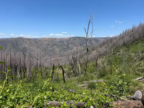0 Rubicon Rd, Georgetown, CA 95634 photo 1
