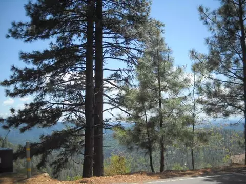 1202 Heather Dr, Murphys, CA 95247 photo 10