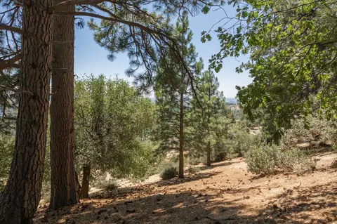 1202 Heather Dr, Murphys, CA 95247 photo 8