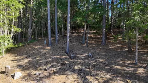 1325 Boole Rd, Applegate, CA 95703 photo 44