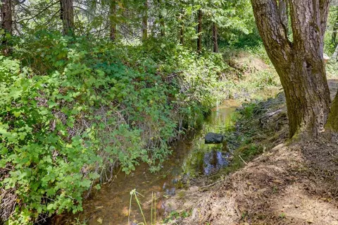 1325 Boole Rd, Applegate, CA 95703 photo 38