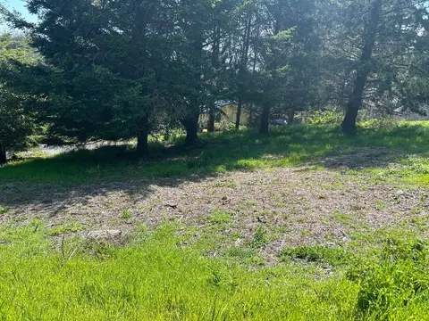 56 Vista Rd, Whitethorn, CA 95589 photo 5