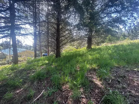 56 Vista Rd, Whitethorn, CA 95589 photo 4