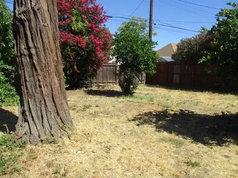 Exterior - 524 S School St, Lodi, CA 95240 photo 8 of 8
