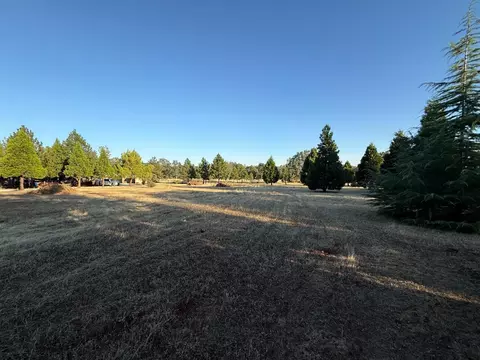 Exterior - 5000 Wilson Hill Rd, Manton, CA 96059 photo 18 of 21