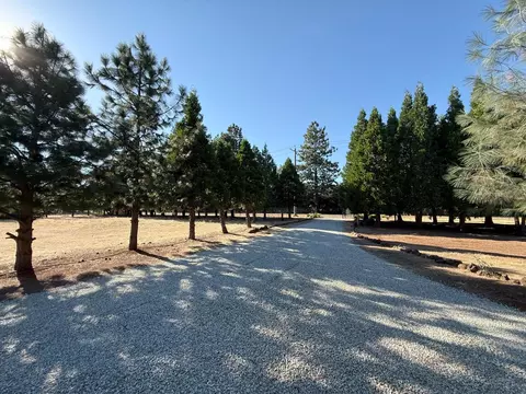 Exterior - 5000 Wilson Hill Rd, Manton, CA 96059 photo 15 of 21