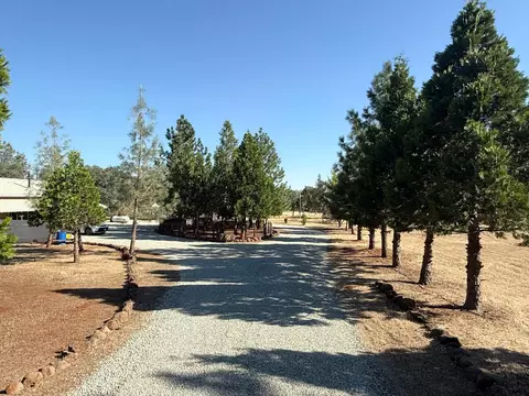 Exterior - 5000 Wilson Hill Rd, Manton, CA 96059 photo 14 of 21