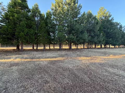 Exterior - 5000 Wilson Hill Rd, Manton, CA 96059 photo 19 of 21