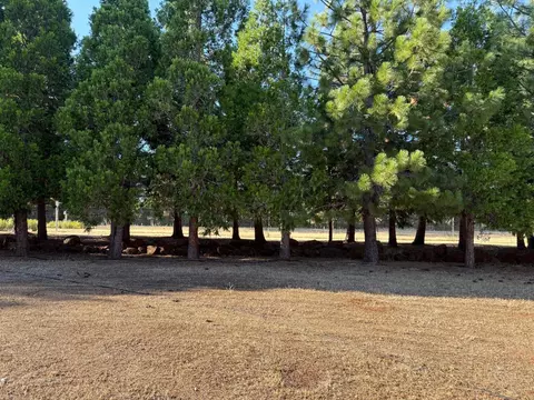 Other - 5000 Wilson Hill Rd, Manton, CA 96059 photo 14 of 16