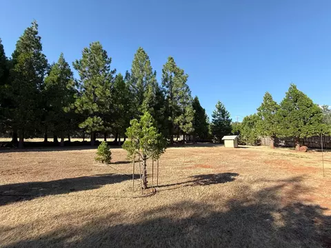 Exterior - 5000 Wilson Hill Rd, Manton, CA 96059 photo 17 of 21