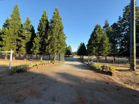 Exterior - 5000 Wilson Hill Rd, Manton, CA 96059 photo 20 of 21
