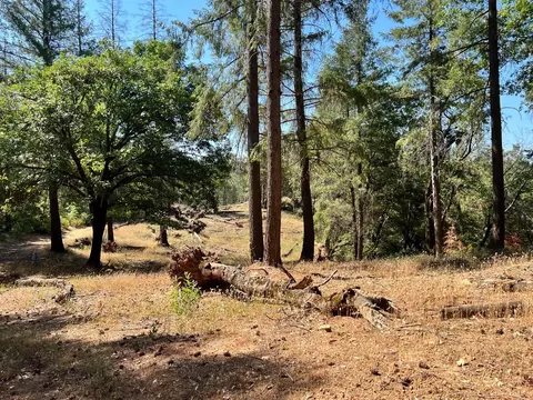 43 Bottle Hill Rd, Georgetown, CA 95634 photo 3