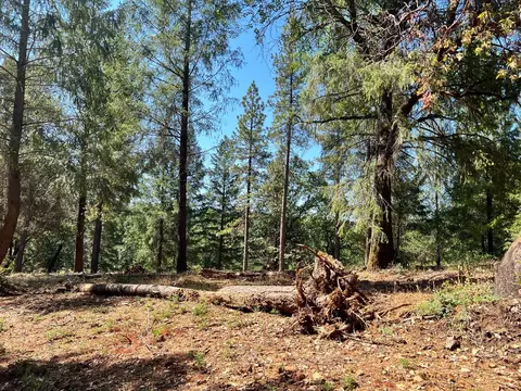 43 Bottle Hill Rd, Georgetown, CA 95634 photo 1