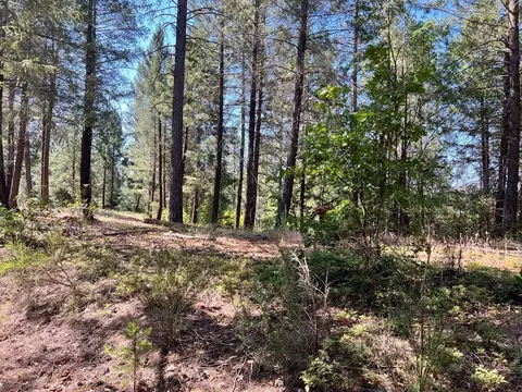 43 Bottle Hill Rd, Georgetown, CA 95634 photo 2