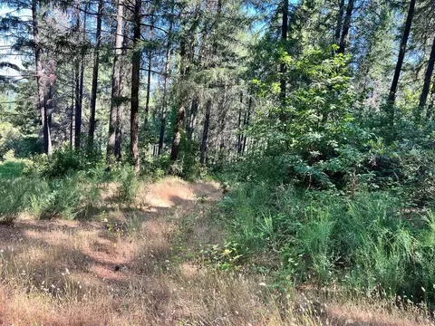 75 Bottle Hill Rd, Georgetown, CA 95634 photo 5