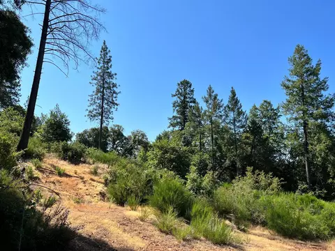 75 Bottle Hill Rd, Georgetown, CA 95634 photo 1