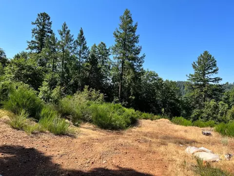 75 Bottle Hill Rd, Georgetown, CA 95634 photo 4