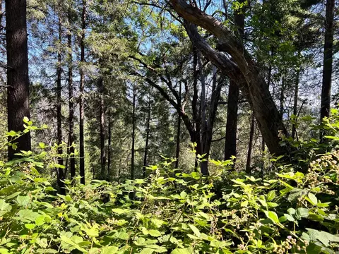 75 Bottle Hill Rd, Georgetown, CA 95634 photo 2
