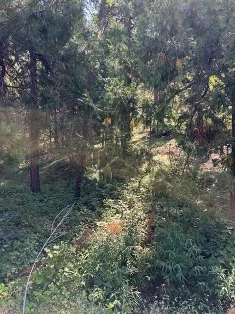 858 Meadow, Arnold, CA 95223 photo 2