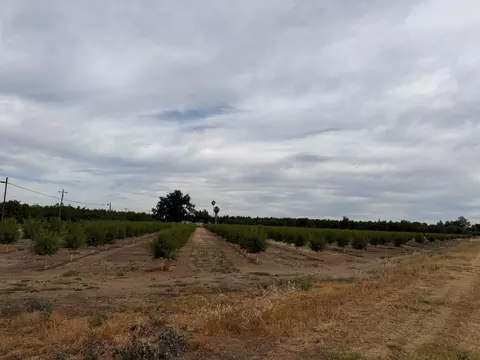 0 Williston Rd, Live Oak, CA 95953 photo 2