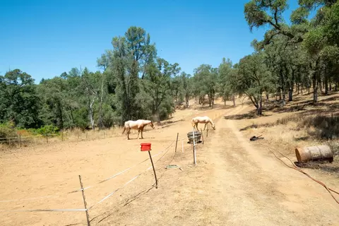 7071 Bayne Rd, Placerville, CA 95667 photo 51