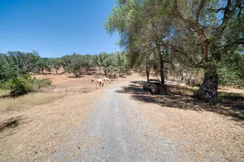 7071 Bayne Rd, Placerville, CA 95667 photo 52