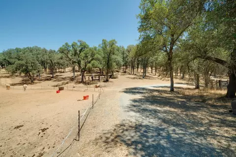 7071 Bayne Rd, Placerville, CA 95667 photo 53