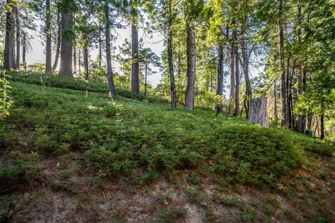 Exterior - 2707 Navajo Dr, Dorrington, CA 95223 photo 9 of 11