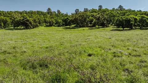 10865 Sunset Dr, Sutter Creek, CA 95685 photo 29