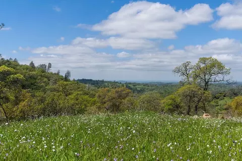 10865 Sunset Dr, Sutter Creek, CA 95685 photo 1