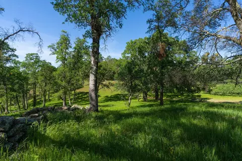 10865 Sunset Dr, Sutter Creek, CA 95685 photo 18