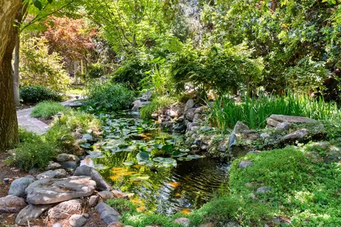 Other - 20592 Ayers Rd, Escalon, CA 95320 photo 8 of 32