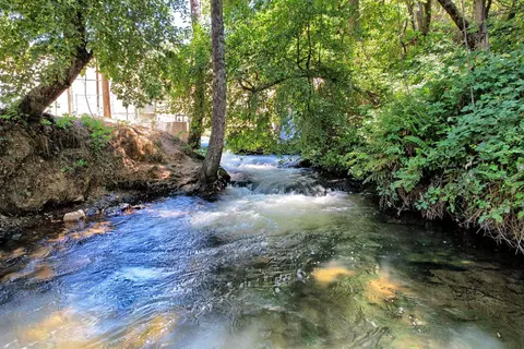 731 Dam Rd, Murphys, CA 95247 photo 81