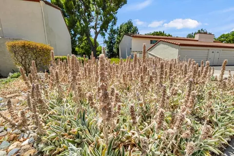 Exterior - 4848 El Cemonte Ave #5, Davis, CA 95618 photo 4 of 7