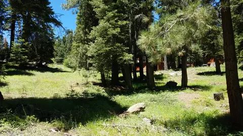 1354 Spring Valley Rd, Tamarack, CA 95223 photo 3