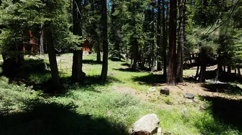 1354 Spring Valley Rd, Tamarack, CA 95223