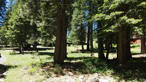 1354 Spring Valley Rd, Tamarack, CA 95223 photo 7